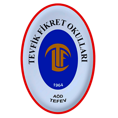 TFO Logo
